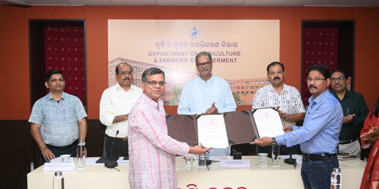 Odisha signs MoA to revive forgotten foods and neglected crops