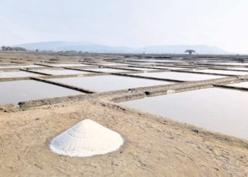 Ganjam Salt