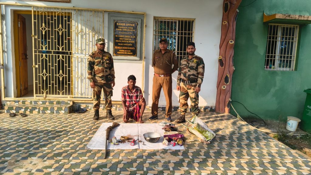 Similipal poacher arrested