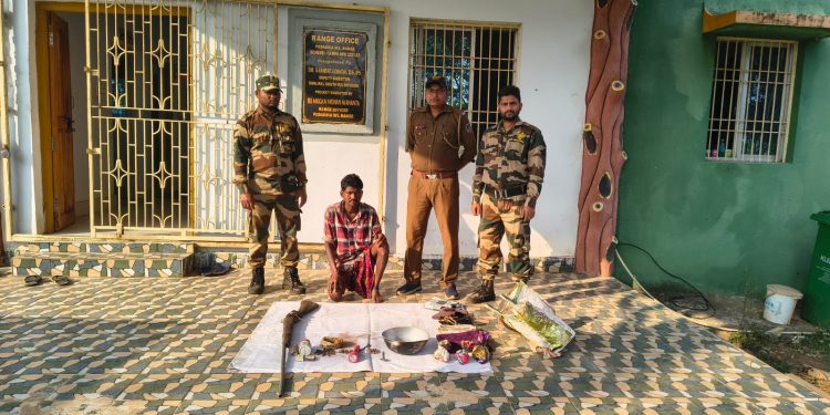 Similipal poacher arrested