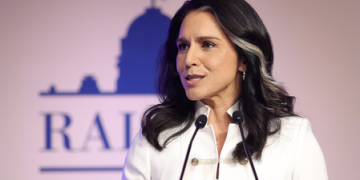 Tulsi Gabbard
