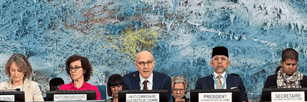 UN Human Rights Chief