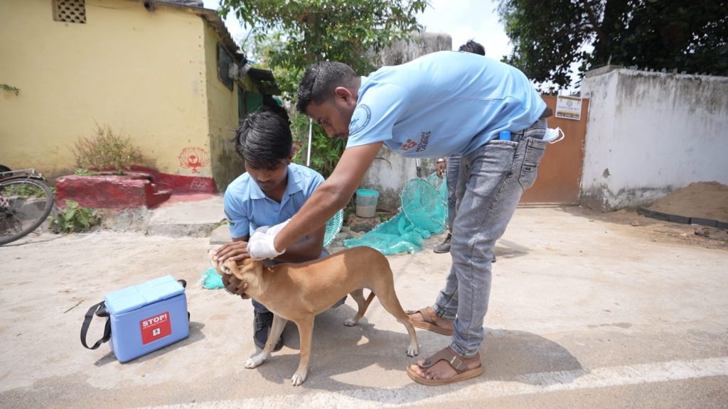 BMC launches anti-rabies drive