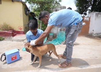 BMC launches anti-rabies drive