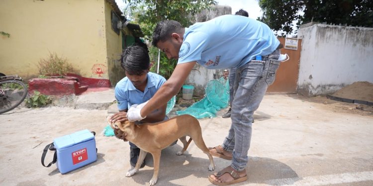 BMC launches anti-rabies drive
