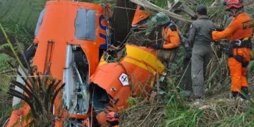 Helicopter crash on Indonesia's Borneo island kills 8
