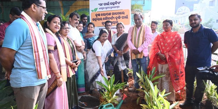 BMC’s beautification drive along NH-16