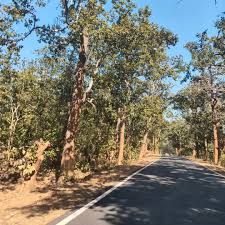 Kandhamal,Kumuti Forest