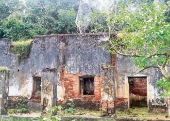 Podadihi dak bungalow