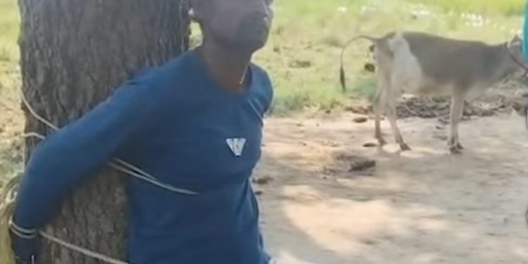 Man poisons mother to death; held