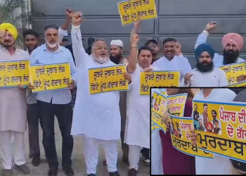 AAP holds protests outside residences of MPs Rajinder Gupta, Harbhajan Singh, Ashok Mittal