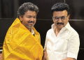Vijay, Stalin