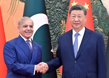 China, Pakistan agree to 'unswervingly safeguard' bilateral ties, build shared future