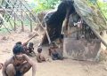 malnutrition fears