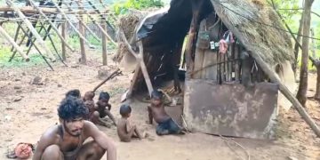 malnutrition fears