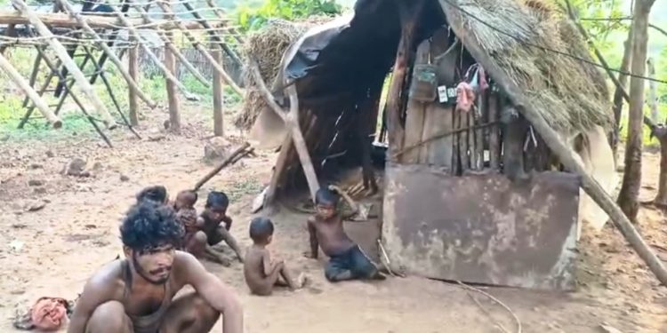 malnutrition fears