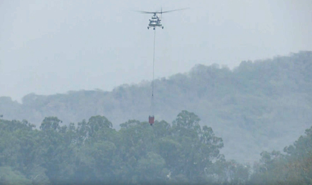 Kasauli forest fire