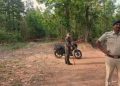 Odisha, Sambalpur, Gangster,