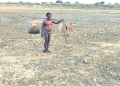 mahanadi