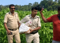 Trinamool leader's farmland