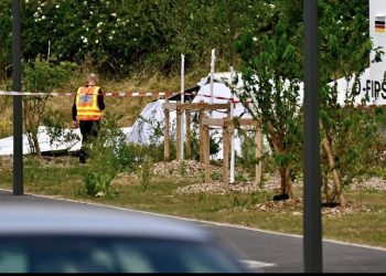 11 killed as skydiving plane crashes in northeastern France
