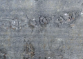 Ancient Rock