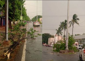 Bhubaneswar Nor westor damage