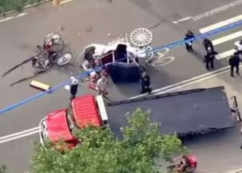 Indian teenager killed in runaway horse carriage accident in New York