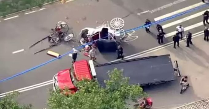 Indian teenager killed in runaway horse carriage accident in New York