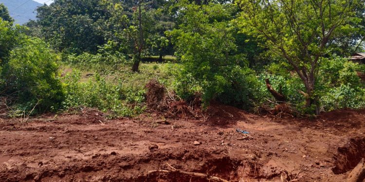 Keonjhar