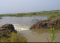 Sea water ingress inundates 100 acres of farmland