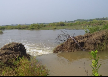 Sea water ingress inundates 100 acres of farmland