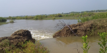 Sea water ingress inundates 100 acres of farmland