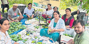 Mangoes