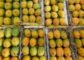 Mangoes