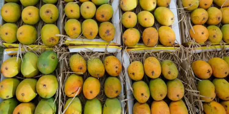 Mangoes