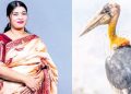 Hargila, Birds, Assam, Purnima Devi Barman