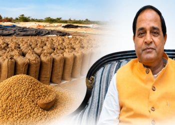paddy procurement
