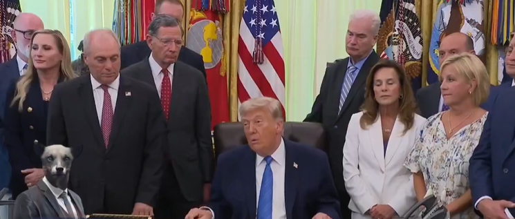 Trump