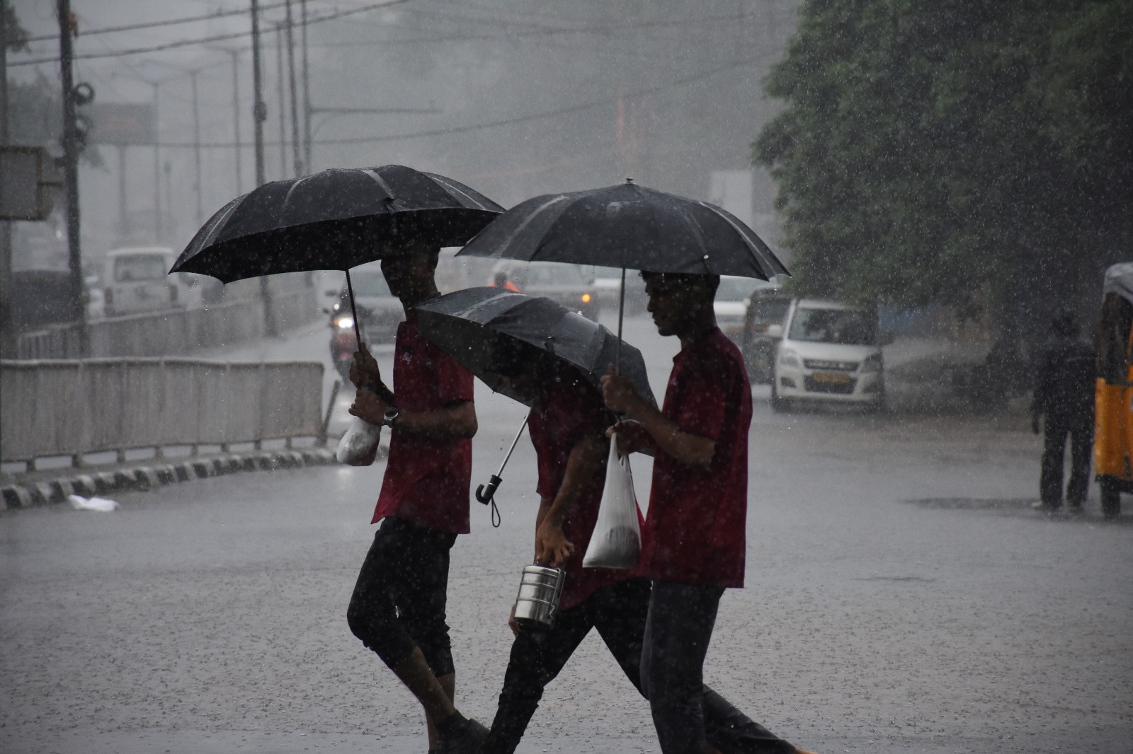 Bhubaneswar, Rainfall, Weather, IMD, Odisha, 