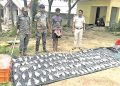Forest dept rescues 297 live, 113 dead seagulls; one held