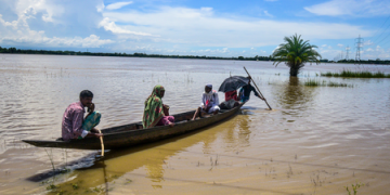 Assam flood