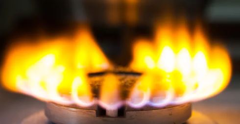 Gas stove