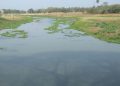 Gobari river