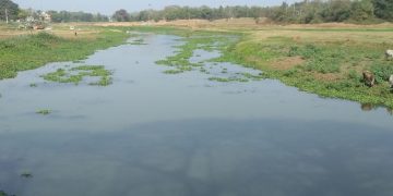 Gobari river