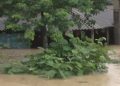 Mayurbhanj flooding