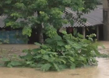 Mayurbhanj flooding