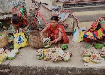 Colourful mushrooms in Kendujhar attract tourists
