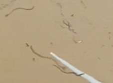 floods in China