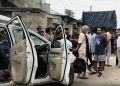 Umaria
